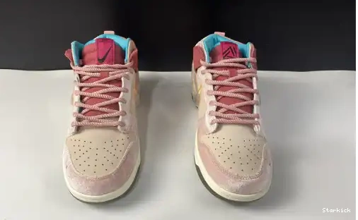 Pro Status High Social SB x DJ1173-600 Nk Dunk 0507
